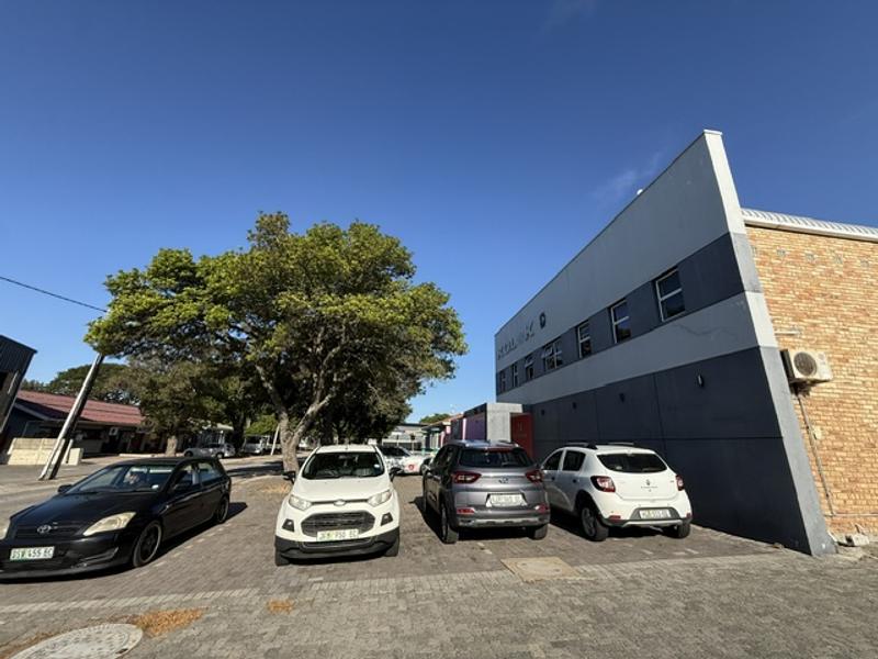 To Let Commercial Property for Rent in Newton Park Eastern Cape
